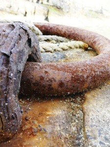 dzinovski-prstenovi-225x300