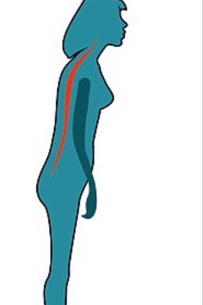 Poza žlica poza žlica