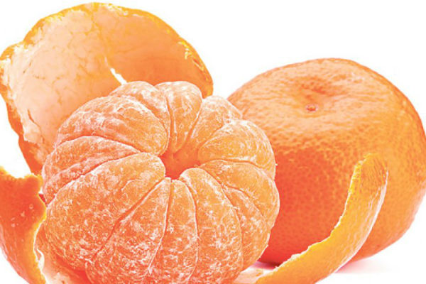 Slikovni rezultat za mandarina