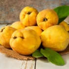 Dunja: Ovo su razlozi zbog kojih trebate uvrstiti u jelovnik voćku čiji miris vraća u djetinjstvo Dunja: Ovo su razlozi zbog kojih trebate uvrstiti u jelovnik voćku čiji miris vraća u djetinjstvo