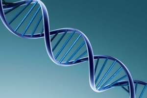 KAKAV JE DNK LJUDI OTPORNIH NA KORONU? U njihovim genima bi mogao biti ključ za LIJEČENJE kovida!