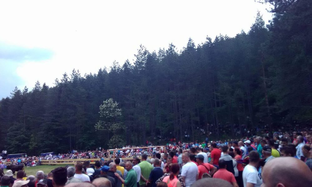 Korida vlasinje 2018 korida vlasinje 2018