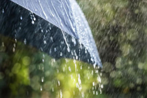 Nakon visokih temperatura: Stiglo osvježenje u Sarajevo, pao jak pljusak
