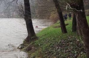 Žena preminula nakon skoka s mosta u nabujalu rijeku Bosnu