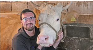 Mladić iz Donjeg Vakufa napravio svoju farmu krava: Odbio sam Njemačku, Austriju, Hrvatsku i kupio sebi kravu!