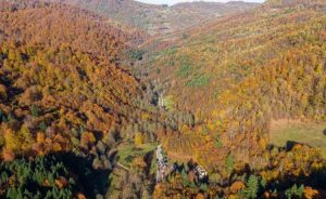 Svečano otvoren put Rašljani-Srebrenik