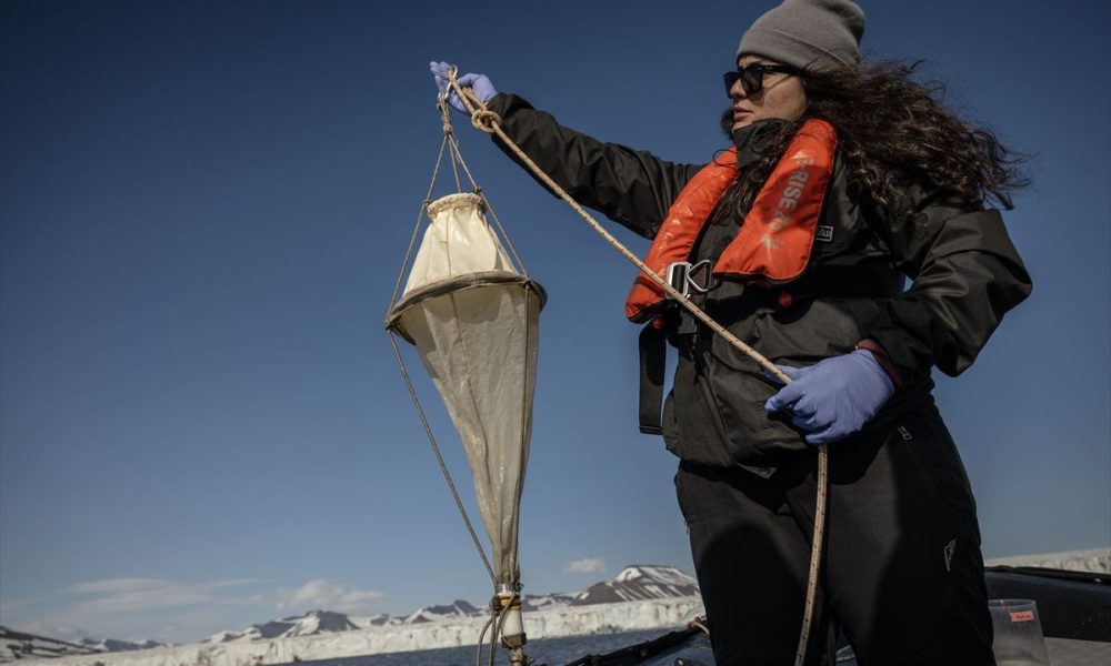 Turski naučnici na Arktiku zabilježili kretanje rijetkih kitova Sei Turski naučnici na Arktiku zabilježili kretanje rijetkih kitova Sei