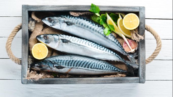 Skuša čuva srce i mozak