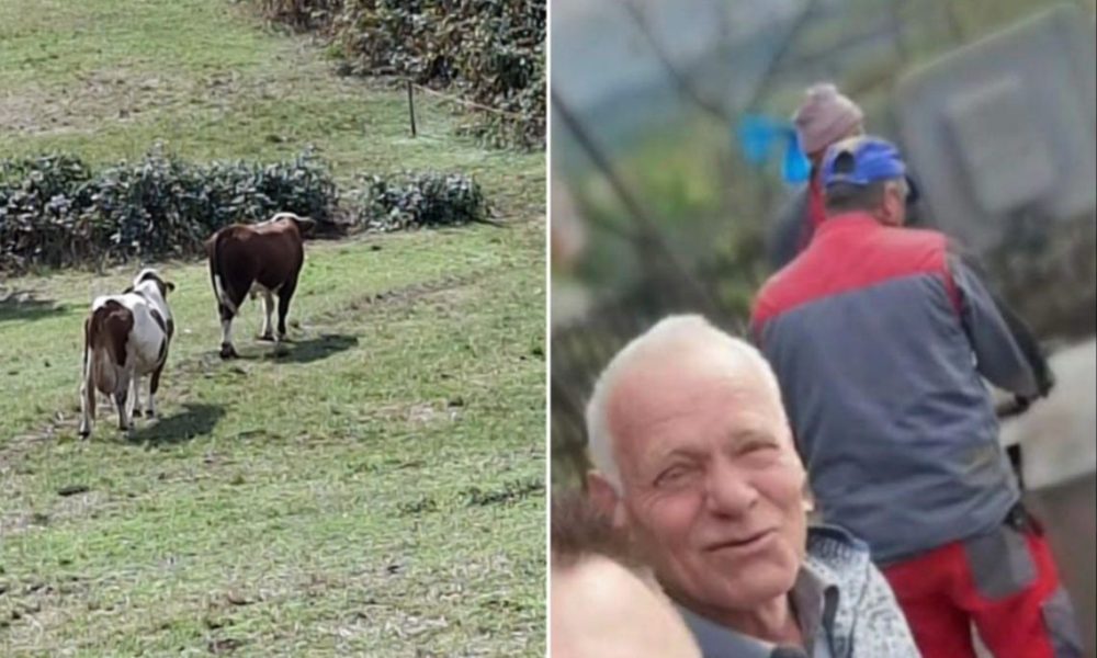 Agresivni bik usmrtio vlasnika, farmer Ibrahim Škahić podlegao teškim...